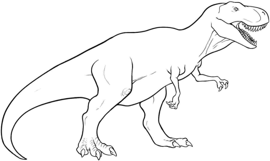 T Rex Coloring Page