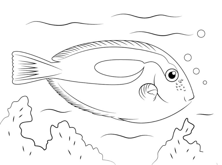 Under the Sea Coloring Page & coloring book.