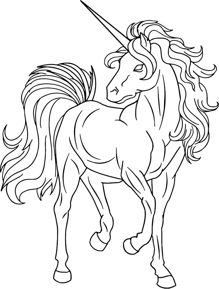 Unicorn Coloring Page & coloring book. 6000+ coloring pages.
