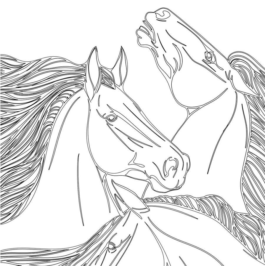 vive le horse coloring pages