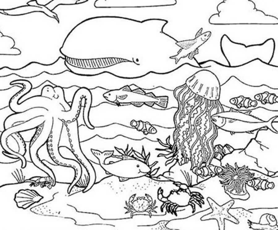 water animal coloring pages