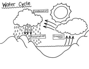 Water Cycle Coloring Page & coloring book. 6000+ coloring pages.