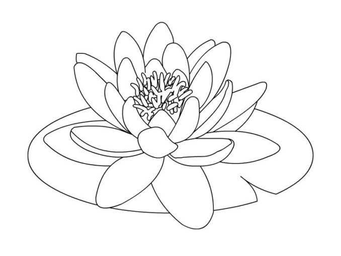 Cloud Nature Coloring Pages & coloring book. Find your favorite.