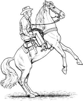 Western Horse Coloring Pages for Adults & book for kids.