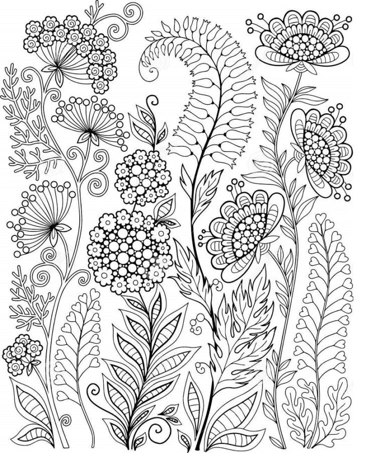 Cornpoppy Flowers Coloring Pages & coloring book.