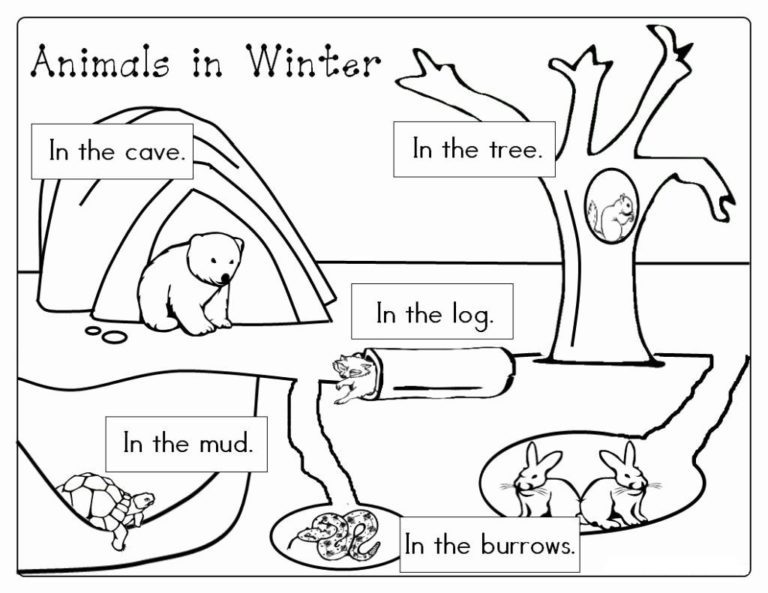 Winter Animal Free Coloring Pages & book for kids.