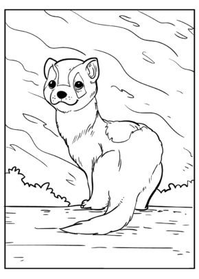 Rabbit Winter Coloring Pages & coloring book.