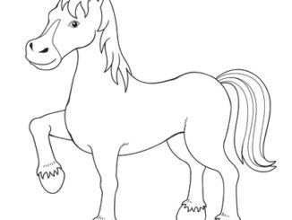 Diploma School Coloring Pages coloring page & book for kids.